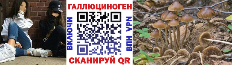 Галлюциногенные грибы прущие грибы даркнет сайт Белёв
